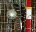 zobrazit foto